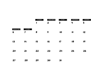 Nos animations du mois d'août