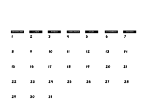 Nos animations du mois d'octobre