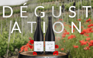Dégustation Domaine Farge Paramé