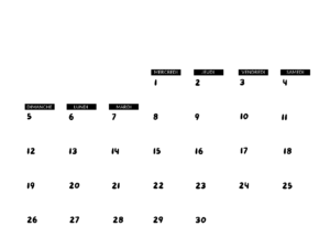 Nos animations du mois de novembre
