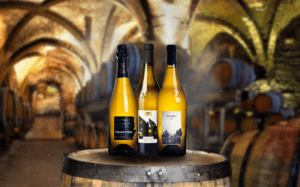 Dégustation de la gamme du Domaine Pignier