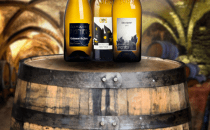 Dégustation de la gamme du Domaine Pignier