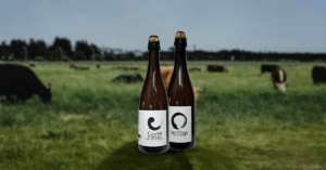 Les cidres de la Ferme Pradenn