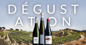 Les vins Alta Alella en Catalogne