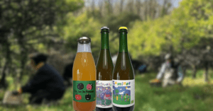 Les cidres et le jus de pomme de la ferme Poméli à Ereac (22)