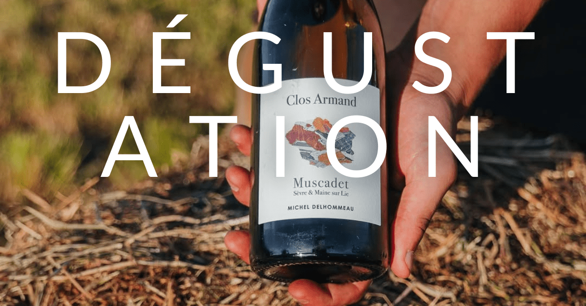 Dégustation d’huîtres et de Muscadet – Les Vignes Saint Vincent