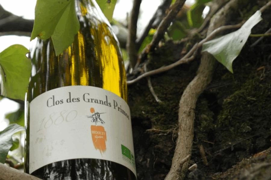 Domaine Bedouet – Le Jus d’Octobre Paramé